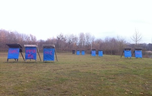 Alerte aux champignons !