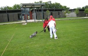 Ca commence par un tireur clandestin...