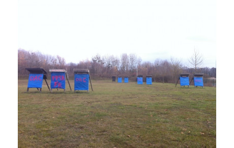 Alerte aux champignons !